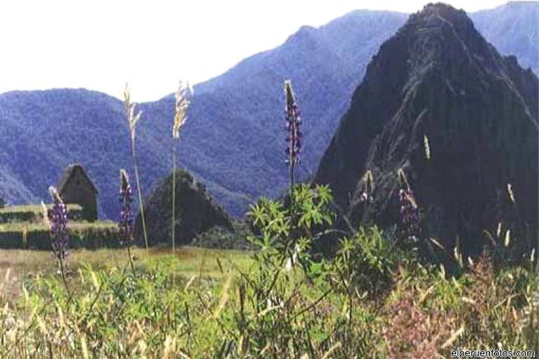 huayna picchu cusco009